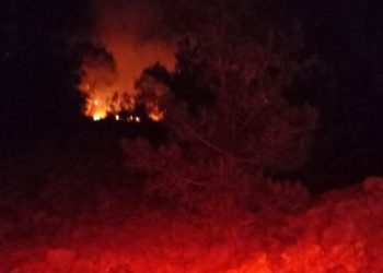 Adana’da çıkan orman yangını kontrol altında