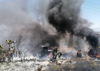 Elektrik tellerine çarpan kuş yangına sebep oldu