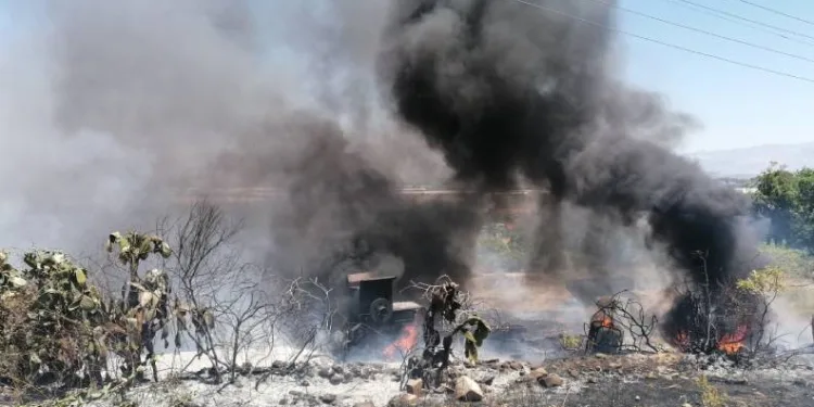 Elektrik tellerine çarpan kuş yangına sebep oldu