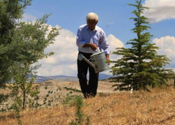 38 yılda 30 bin ağaç dikti