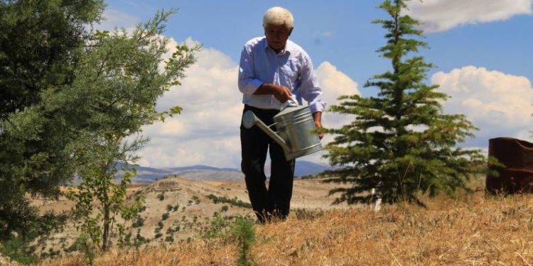 38 yılda 30 bin ağaç dikti