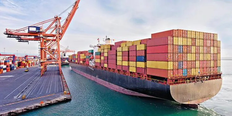 Nilüfer Çayı’nda dünya şampiyonasına hazırlık