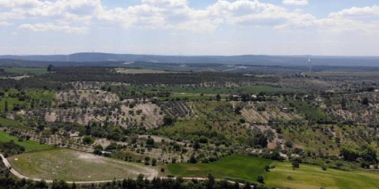 Çanakkale’de ormanlık alanlara girmek yasaklandı