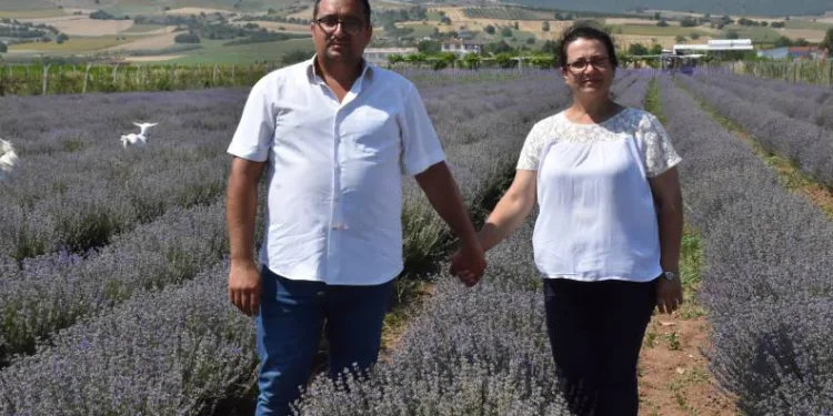 Bursalı çift ata toprağını ekonomiye kazandırdı