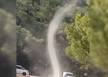 Mesire alanında hortum şaşkınlığı