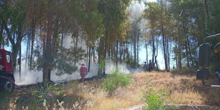 Serik’te orman yangını kontrol altına alındı