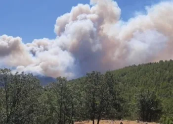 Mersin’de ormanlık alanlara girişler yasaklandı