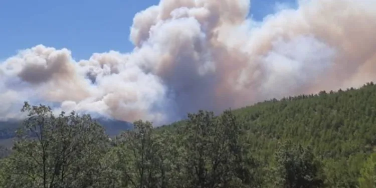 Mersin’de ormanlık alanlara girişler yasaklandı