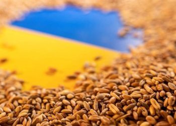 Tahıl krizi çözülüyor! Prensipte anlaşmaya varıldı