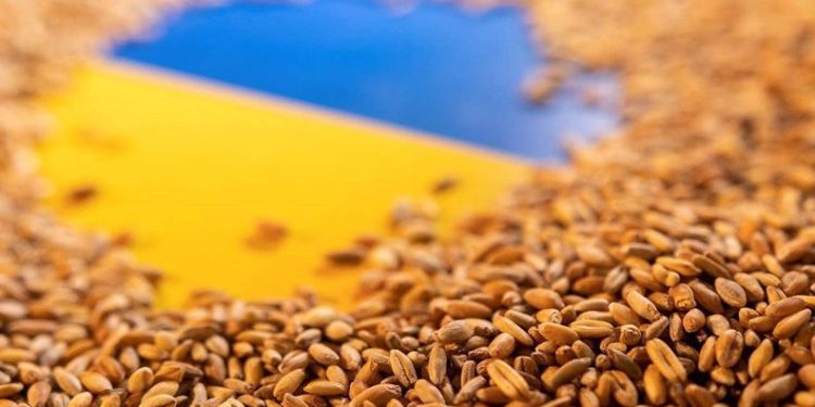 Tahıl krizi çözülüyor! Prensipte anlaşmaya varıldı