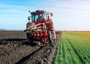 BUYSAD gıda krizine dikkat çekti