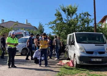 Hastaneye götürmek istediği annesini ezdi