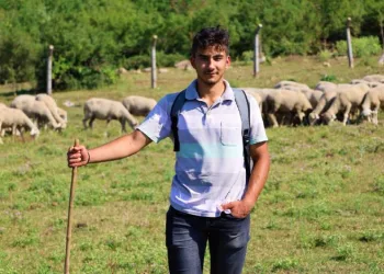 Liseli çoban üniversiteye tepelerde hazırlanıyor