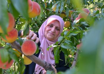 Yıldırım’da üreten kadınlara tam destek