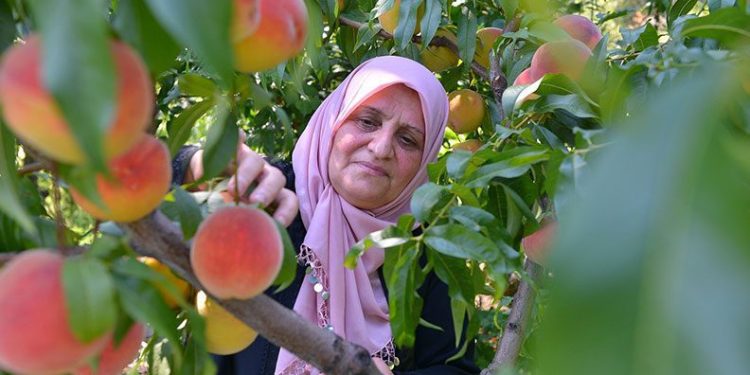 Yıldırım’da üreten kadınlara tam destek