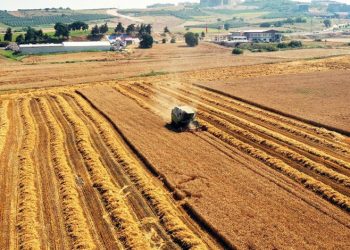 Nilüfer, Milano Paktı’na katıldı