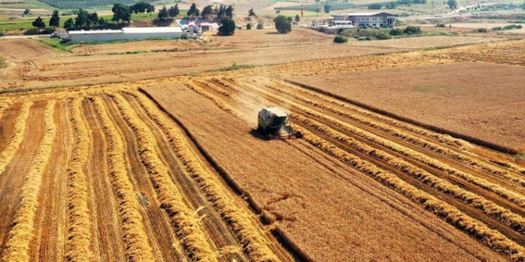 Nilüfer, Milano Paktı’na katıldı