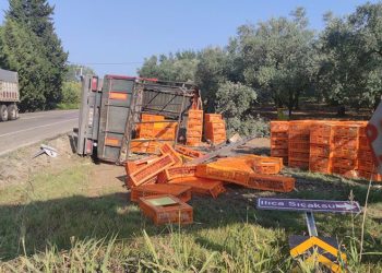 Bursa’da canlı tavuk yüklü TIR devrildi