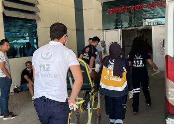 Ağabeyini vurdu kayıplara karıştı