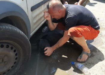 Köpeğinin yaşaması için dakikalarca kalp masajı yaptı