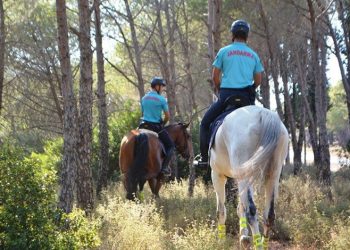 Ayvalık’ta orman yangınlarına karşı atlı jandarma önlemi