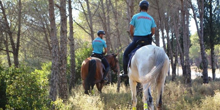 Ayvalık’ta orman yangınlarına karşı atlı jandarma önlemi