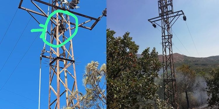 Trafoya çarpan şahin yangına sebep oldu