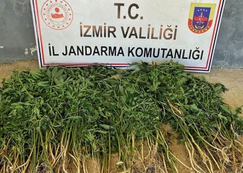 İzmir’in 9 ilçesinde uyuşturucu operasyonları: 26 gözaltı