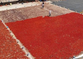 İsotun acı serüveni başladı