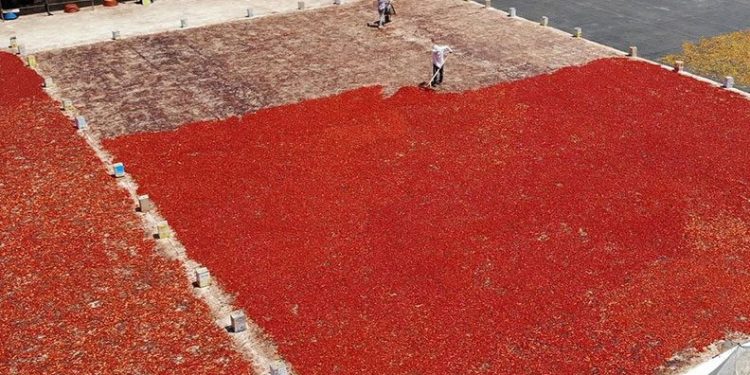 İsotun acı serüveni başladı