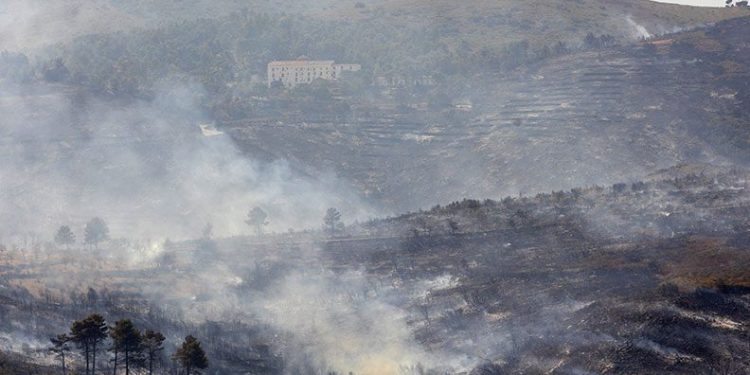 İspanya’nın 19 bin hektar alan kül oldu
