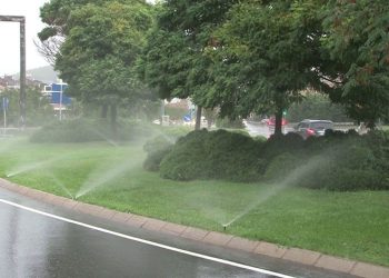 İBB, yağan yağmurun altında çim suladı