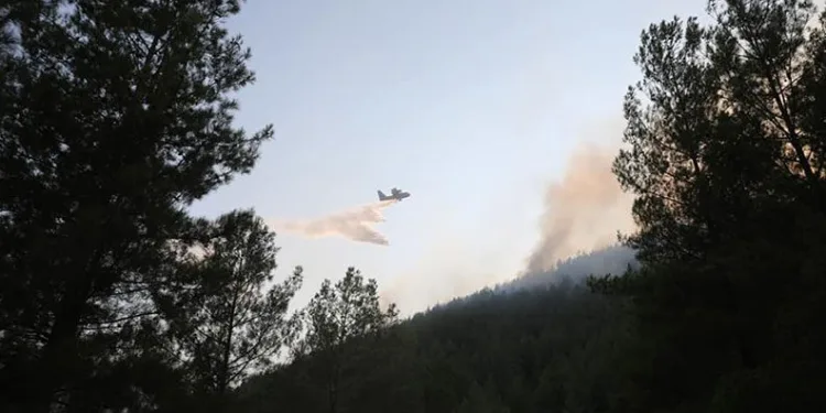 Bucak yangını kontrol altında