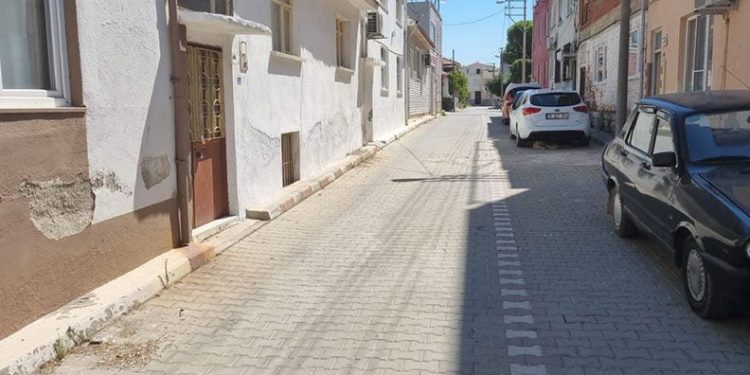 Balıkesir’de bir sokağı pire ve keneler sardı