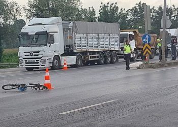 Sakarya’da karşıya geçmek isterken canından oldu