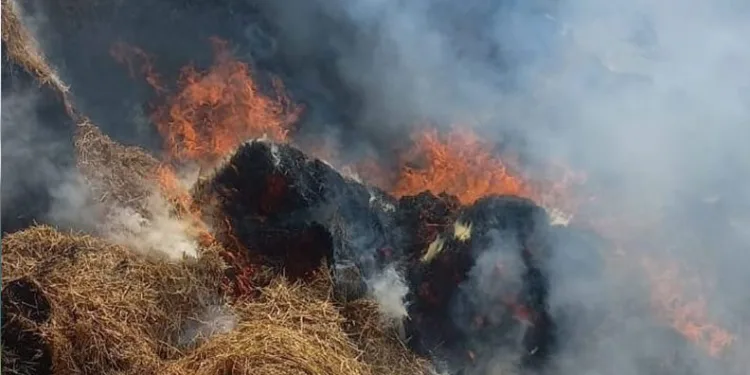 Bursa’da hayvan çiftliğinde yangın
