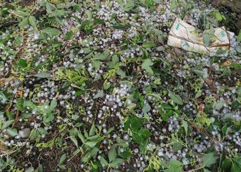 Kastamonu’da dolu yağışı zarara neden oldu