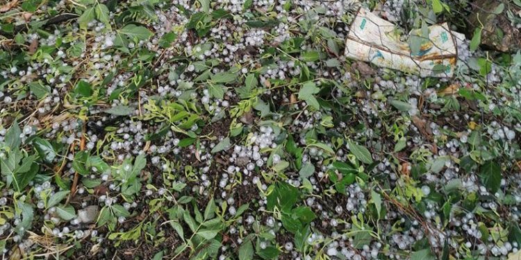 Kastamonu’da dolu yağışı zarara neden oldu