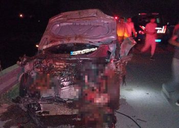 Van’da otomobil sürüye çarptı: 26 hayvan telef oldu