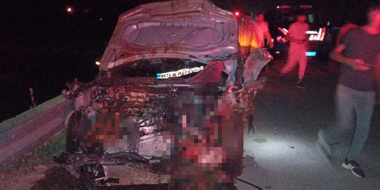 Van’da otomobil sürüye çarptı: 26 hayvan telef oldu