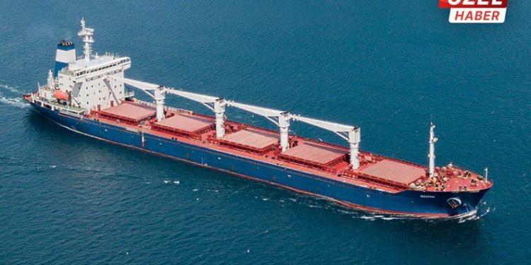 Tahıl gemileri gıda krizine çözüm mü?