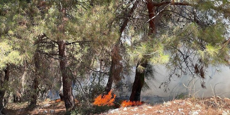 Manisa’daki yangınlar kontrol altında