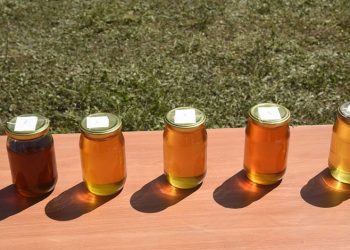 1 kilo bal 17 bin liraya satıldı