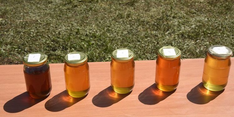 1 kilo bal 17 bin liraya satıldı