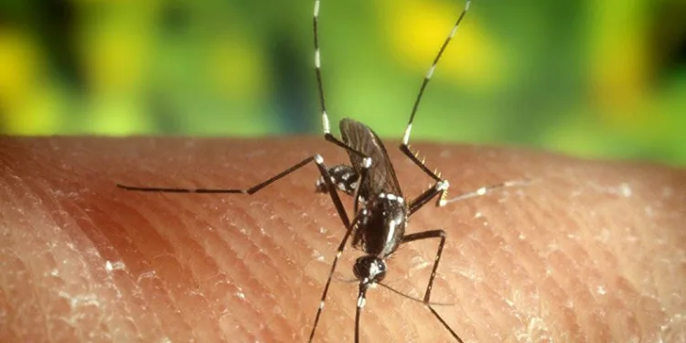 Yunanistan’da Batı Nil virüsü alarmı