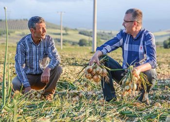Bursa’da tarım gece vardiyasına başladı