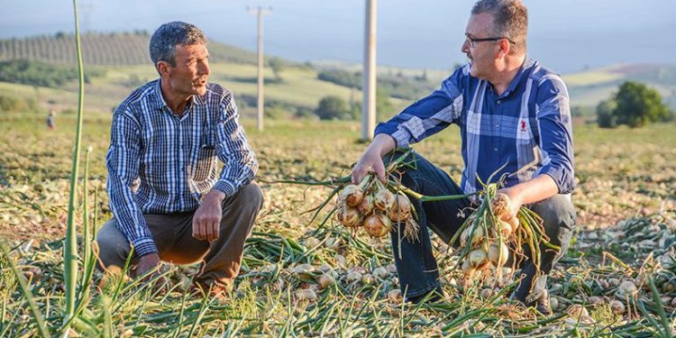 Bursa’da tarım gece vardiyasına başladı