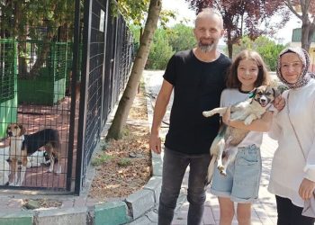 Osmangazi’de 3 can dosta sıcak yuva