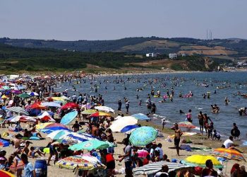 Bursa sahillerinden sevindiren haber