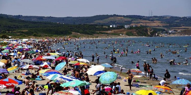 Bursa sahillerinden sevindiren haber